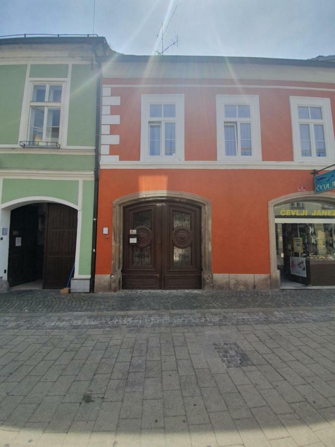 Minidorm Rooms In Heart Of City Center Maribor Dış mekan fotoğraf